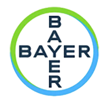 Bayer